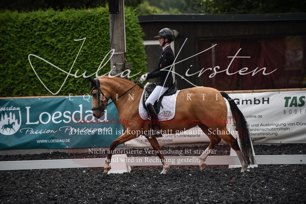 DSC_4412 | Pferde- und Turnierfotografie in Westsachsen. Pferdeportraits, Auftragszeichnungen und intuitive Kunst.