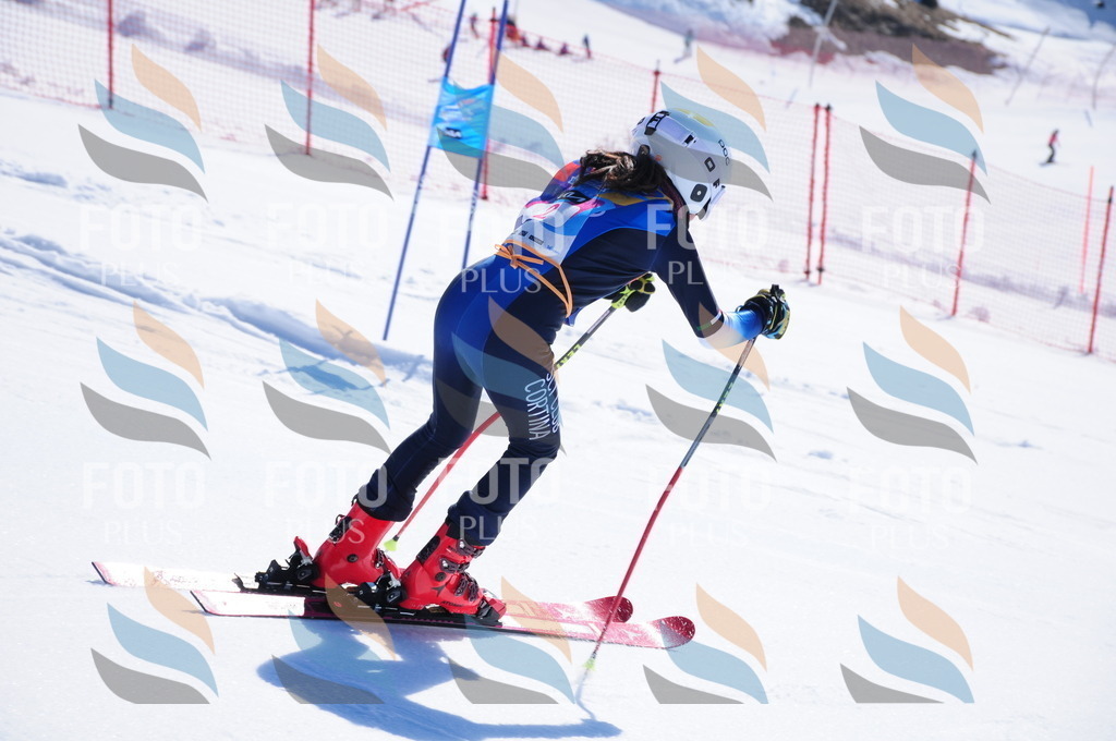 DSC_3615 | holidayphoto