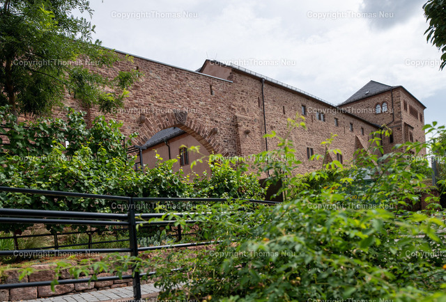 Worms-2025DSC_8743 | bbe_bre, Worms, Stadtmauer, Ausflugstipp, ,, Bild: Thomas Neu