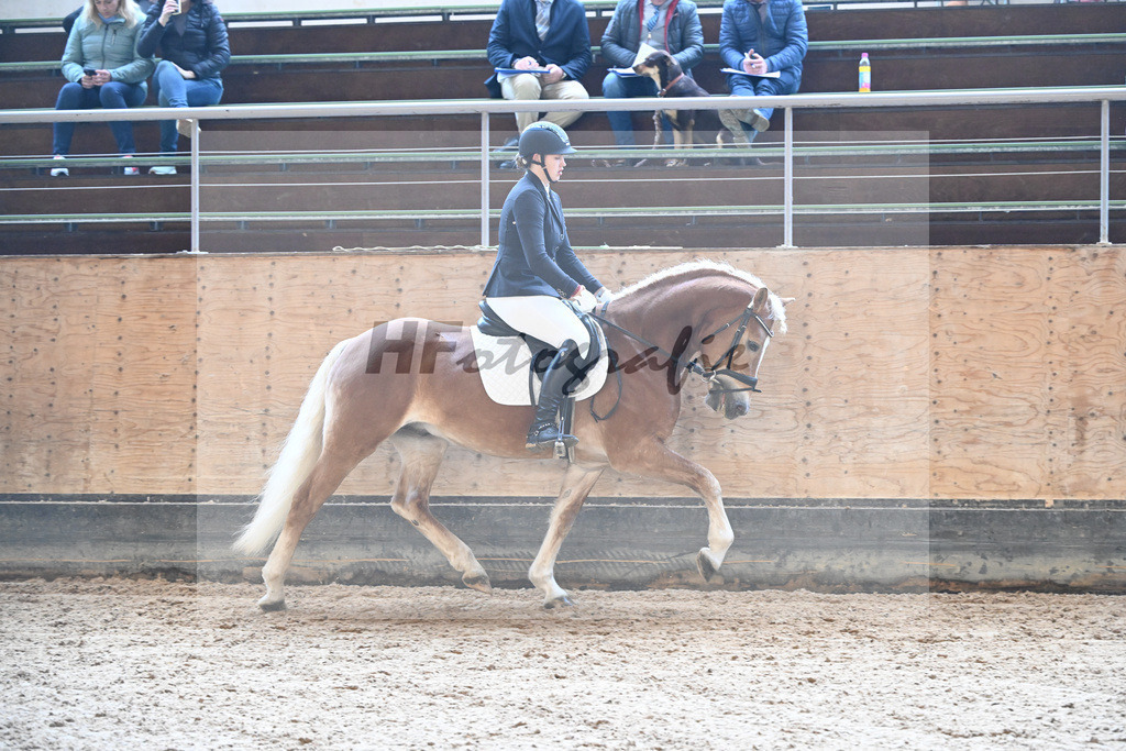 Kat-Nr. 5 Bonito-E v. Blitz-U_Gruber_43250344 | hf-fotografie - Realisiert mit Pictrs.com