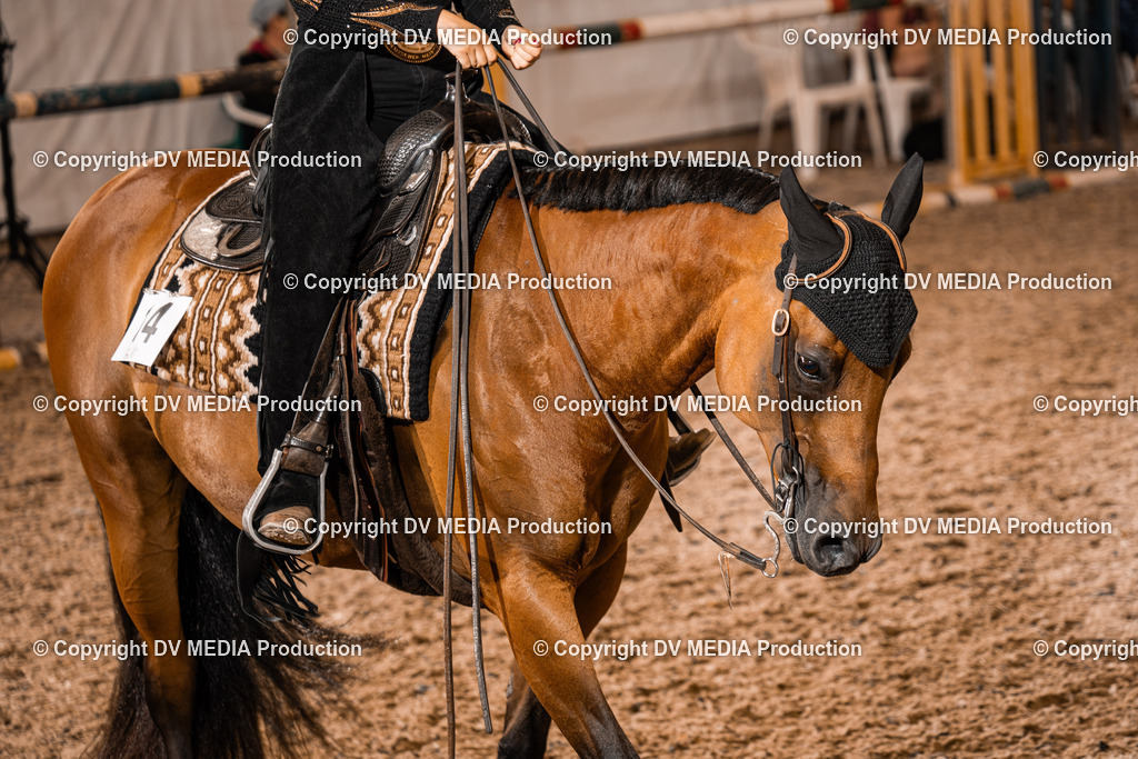 ZH300393 | dv-media-shop - Realisiert mit Pictrs.com