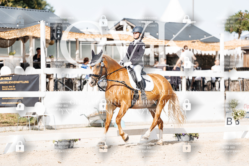 CK905411 | Turnierfotografie Pferdefotografie Trier Rheinland-Pfalz Pferdesport Reitsport Tierfotografie Sportfotografie Pferdevideo Pferdevideografie Equestrianvideography equestrianphotography  - Realisiert mit Pictrs.com
