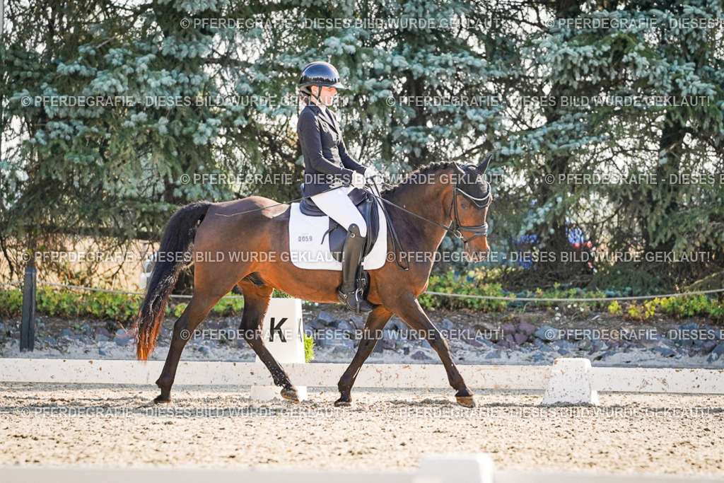 DSC09948 | Pferdegrafie