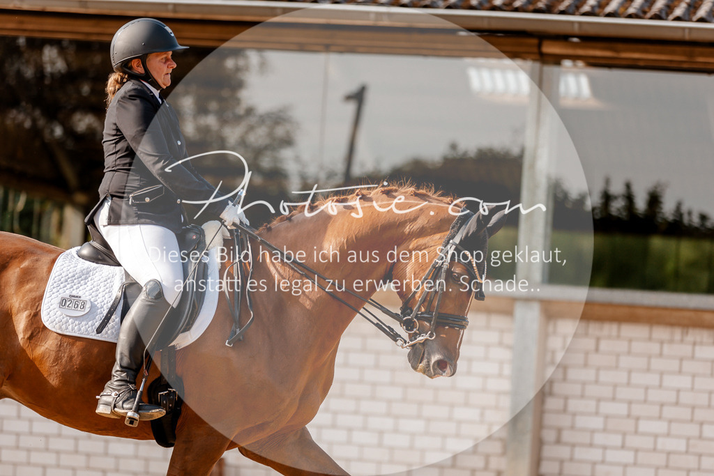 3I6A3128 | Stimmungsvolle Portraits und Reitsportfotografie im Ruhrgebiet und im Münsterland.

Pferdefotografie, Hundefotografie, Tierfotografie, Reportagen, Portraits von Tier und Mensch, Turnierfotografie in Bochum, Recklinghausen, Marl, Haltern am See, Dülmen.. - Realisiert mit Pictrs.com