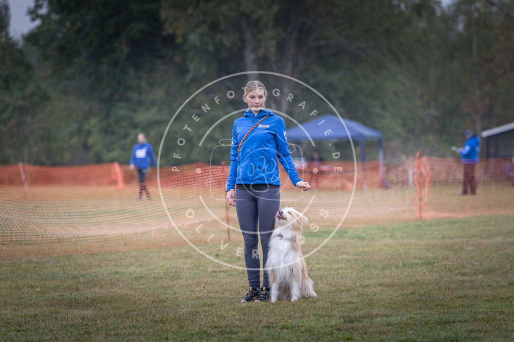 Pfotenfotografie_DV3A8718 | Hundefotografie, Tierfotograf, Pfotenfotografie, Fotoshooting Hund, Hunde Portrait, Hundesport, Hundeportraits, Heideshooting, Hunde, Sportfotograf, Hundefotograf, Turnierhundsport, THS,  - Realisiert mit Pictrs.com