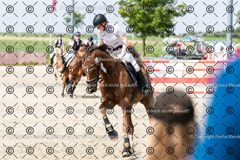 CL5A4294 | Emilia Reinking Fotografie - Realisiert mit Pictrs.com