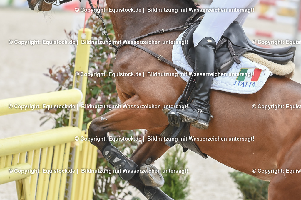 20230514_CCI4_Springen_0085 | equistock