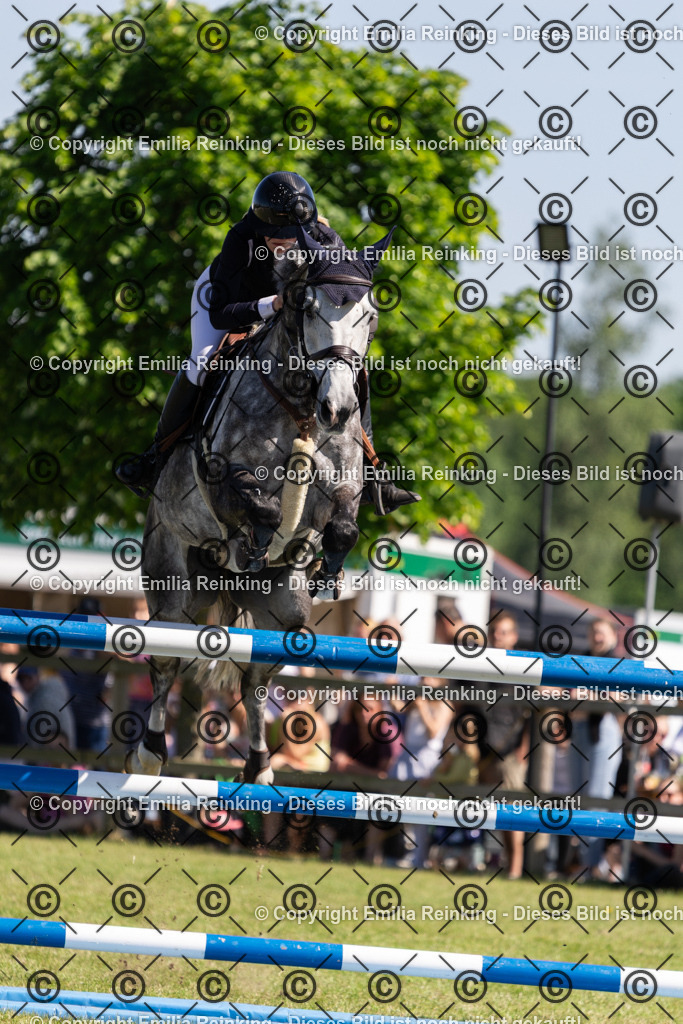 CL5A1358 | Emilia Reinking Fotografie - Realisiert mit Pictrs.com