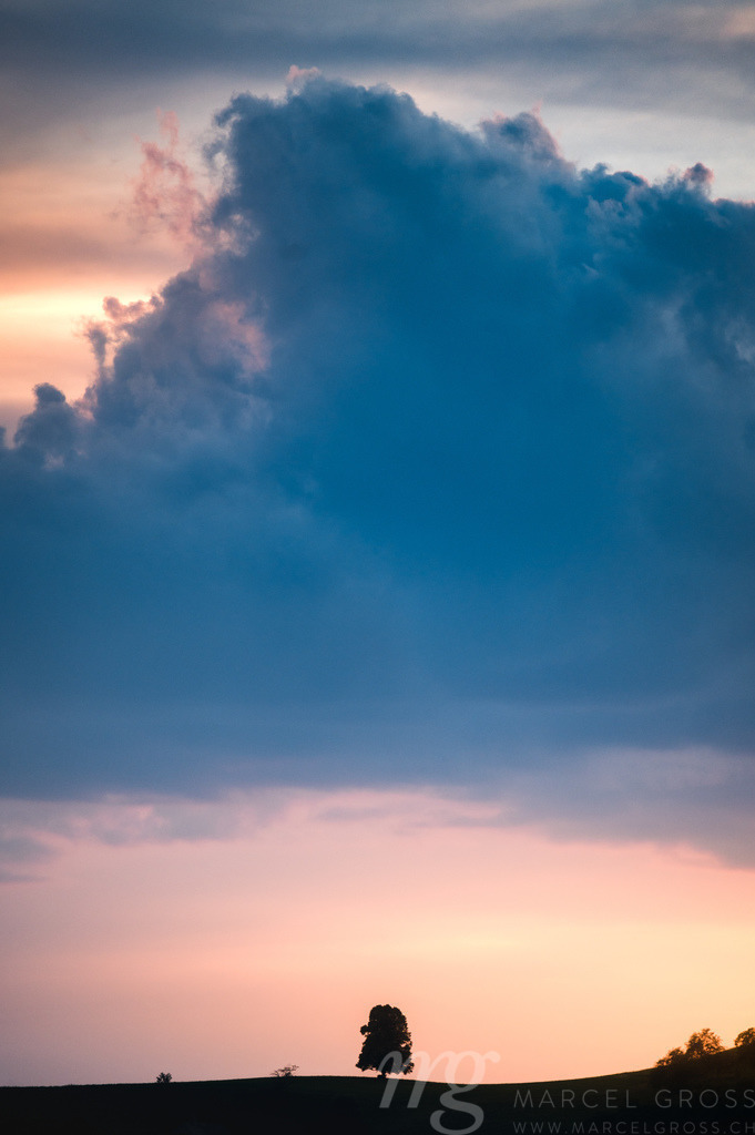 Silhouette von einer Linde auf Emmentaler Hügel während einem Sonnenuntergang | Die ideale Geschenkidee für Naturliebhaber. Naturbilder von Marcel Gross Photography für ihr Zuhause in den verschiedensten Formaten und Materialien. - Realisiert mit Pictrs.com