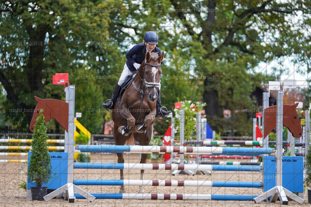 20221009-FAH08292 | Diessen am Ammersee, 2022, Dressur- und Springturnier, Reitsportbilder, Turnierfotografen Bayern, Pferdefotografen, Fotoagentur Herrmann, Turnierbilder