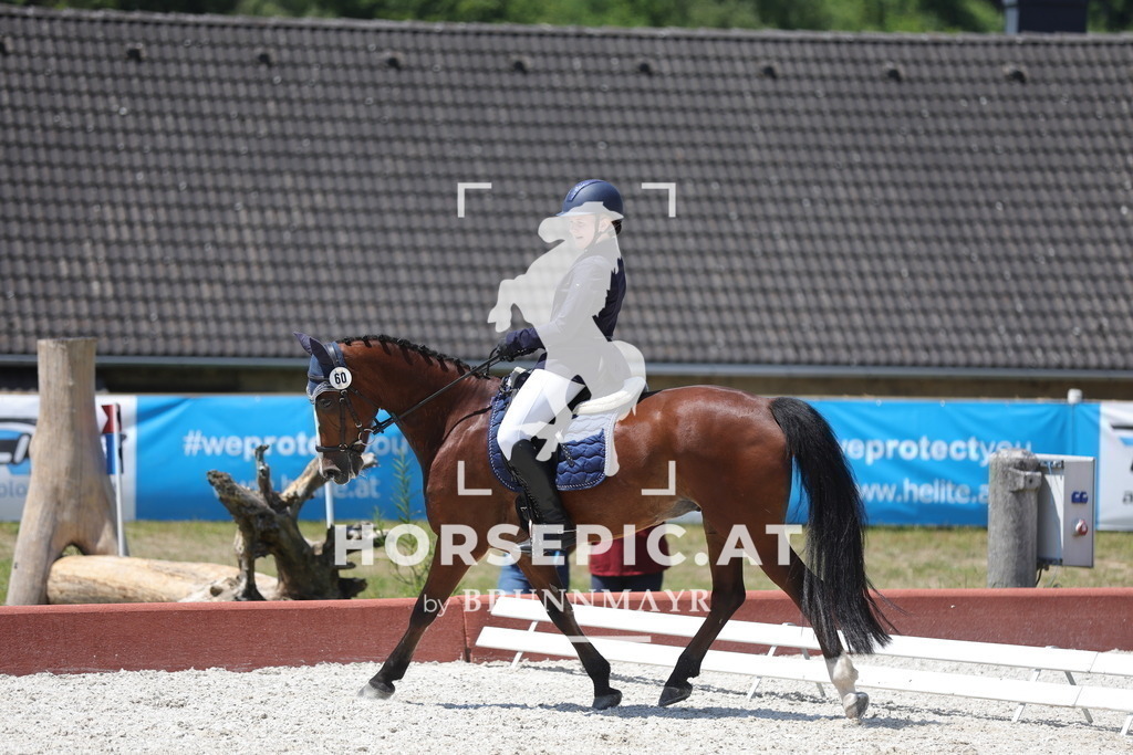 0P6A6324 | Willkommen bei Brunnmayr - Design & Fotografie – Ihrem Spezialisten für Reitturniere und Pferdeveranstaltungen in Oberösterreich, Salzburg und Bayern! Seit über 17 Jahren sind wir leidenschaftlich dabei.