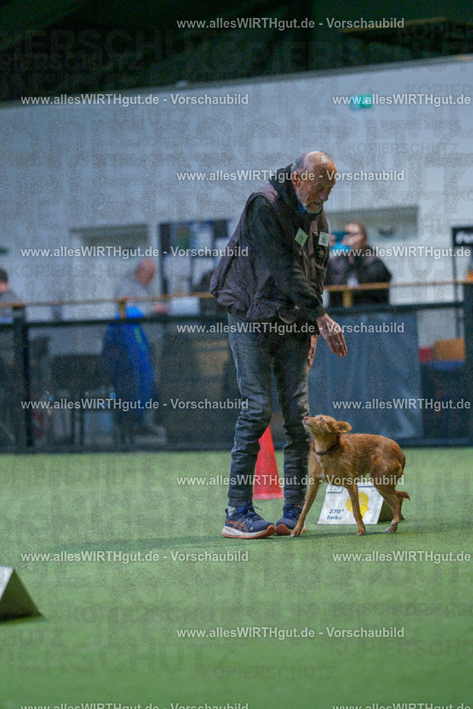 7R502633 | Professionelle Tierfotografie in Mönchengladbach von Daniel Wirth (allesWIRTHgut). Liebevolle & natürliche Bilder von Hunden & Katzen für unvergessliche Erinnerungen.