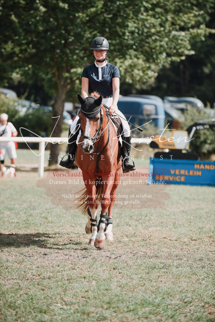 DSC_5580 | Pferde- und Turnierfotografie in Westsachsen. Pferdeportraits, Auftragszeichnungen und intuitive Kunst.