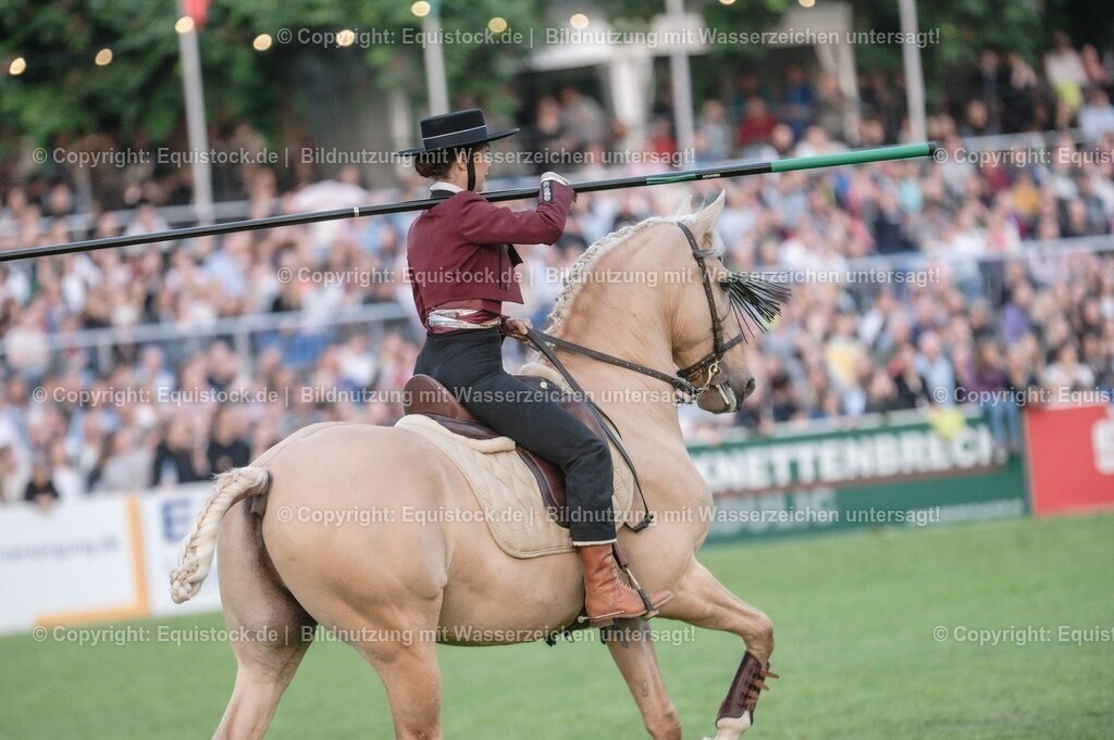 20230526_Pferdenacht_0678 | equistock