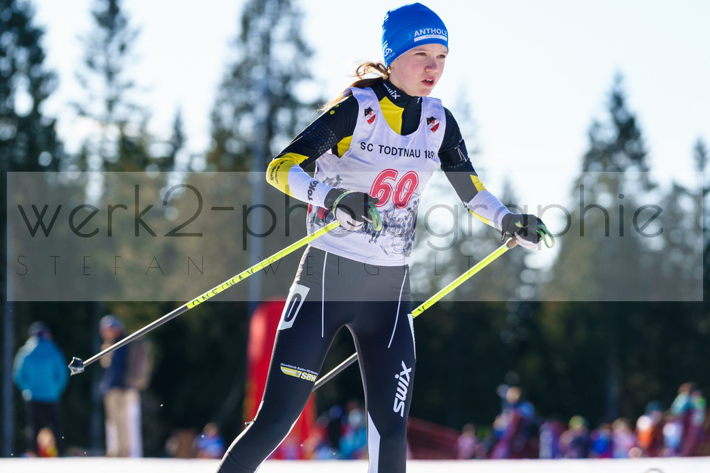 DSC Notschrei | 2. DSV E.INFRA Schülercup im Nordic-Center Notschrei am 17. bis 19. Januar 2025