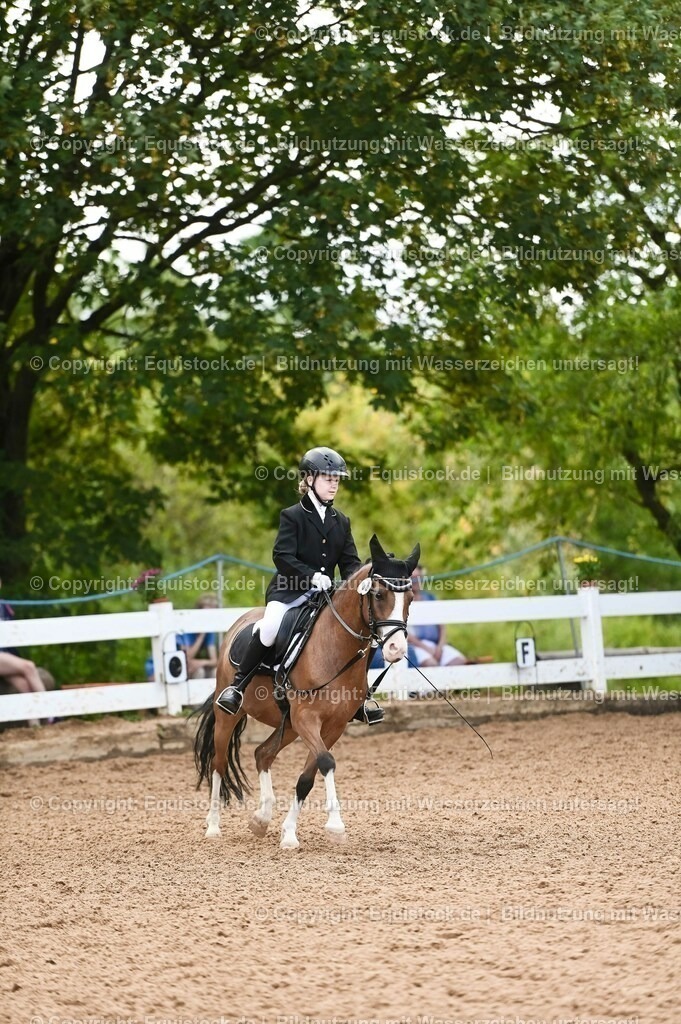 20230716_10-2_Reiter-WB Schritt - Trab - Galopp_0143 | equistock