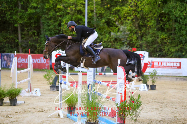 IMG_6229 | Turniersportfotografie; Pferdefotografie; Dressurfotografie