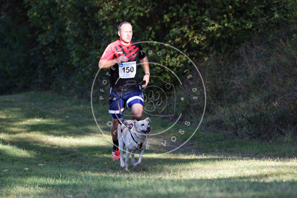 0L8A4989 | Hundefotografie, Tierfotograf, Pfotenfotografie, Fotoshooting Hund, Hunde Portrait, Hundesport, Hundeportraits, Heideshooting, Hunde, Sportfotograf, Hundefotograf, Turnierhundsport, THS,  - Realisiert mit Pictrs.com