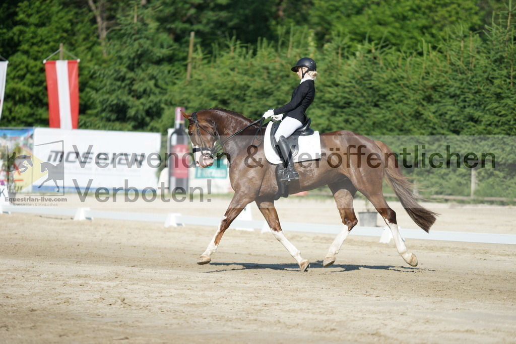 DSC02879 | equestrian-live-com