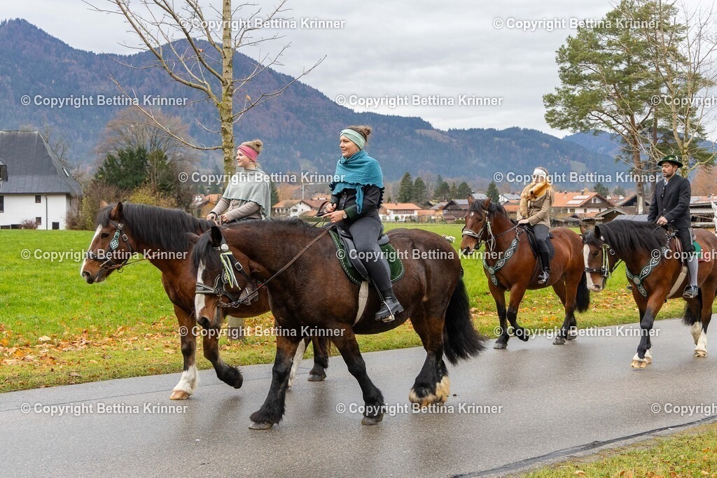 LL25-44 | foto-bettina-krinner - Realisiert mit Pictrs.com
