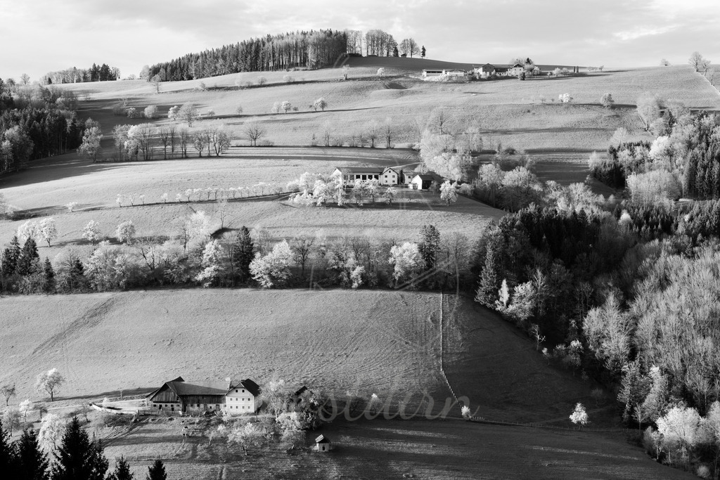 Mostviertel Schwarz Weiß | Ihre Fotografin im Lungau, ihre Fotografin im Mostviertel, Wandbilder Onlineshop, Imagefotos für Ihr Unternehmen,  - Realisiert mit Pictrs.com