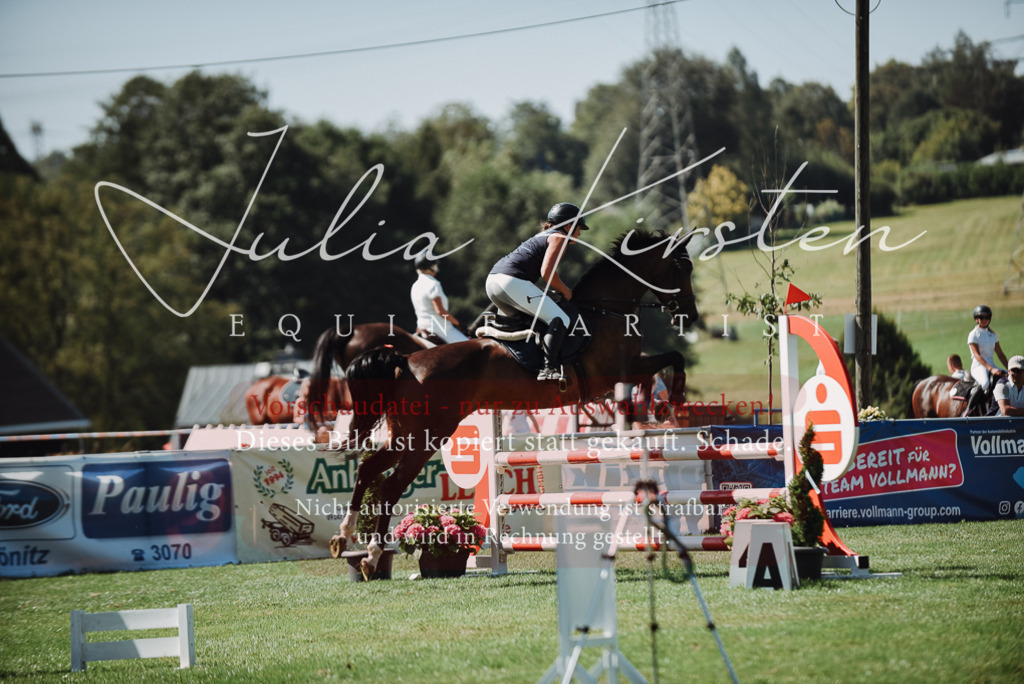 DSC_3206 | Pferde- und Turnierfotografie in Westsachsen. Pferdeportraits, Auftragszeichnungen und intuitive Kunst.