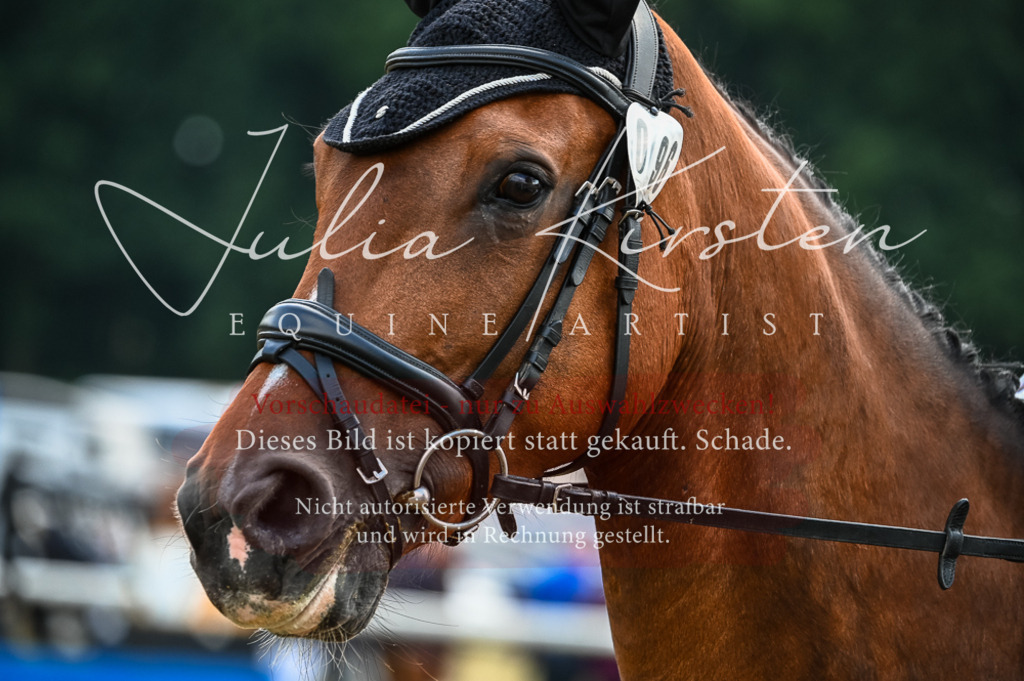 DSC_8464 | Pferde- und Turnierfotografie in Westsachsen. Pferdeportraits, Auftragszeichnungen und intuitive Kunst.