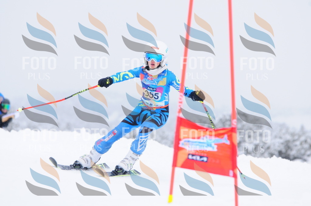 C3790 | holidayphoto