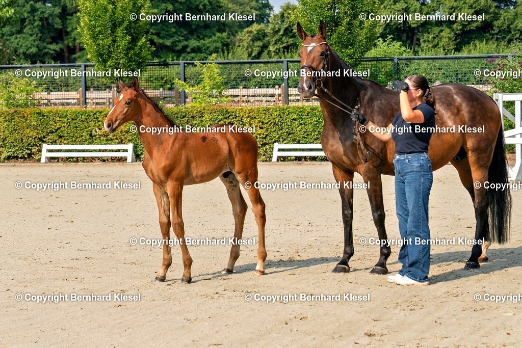 A9S08979 | foto-team-bernhard - Realisiert mit Pictrs.com