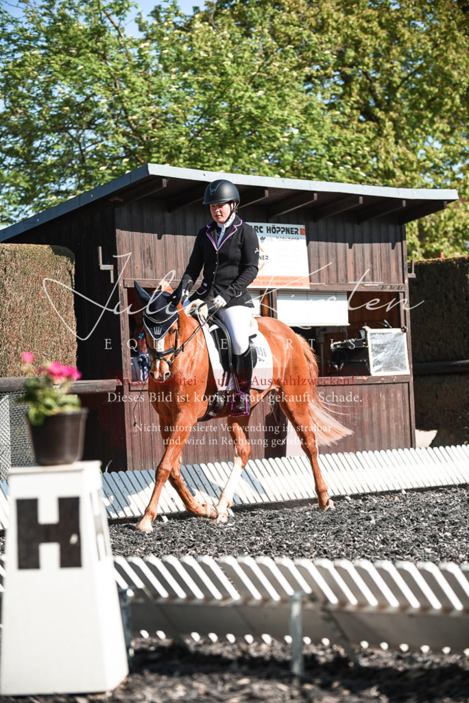 DSC_8412 | Pferde- und Turnierfotografie in Westsachsen. Pferdeportraits, Auftragszeichnungen und intuitive Kunst.