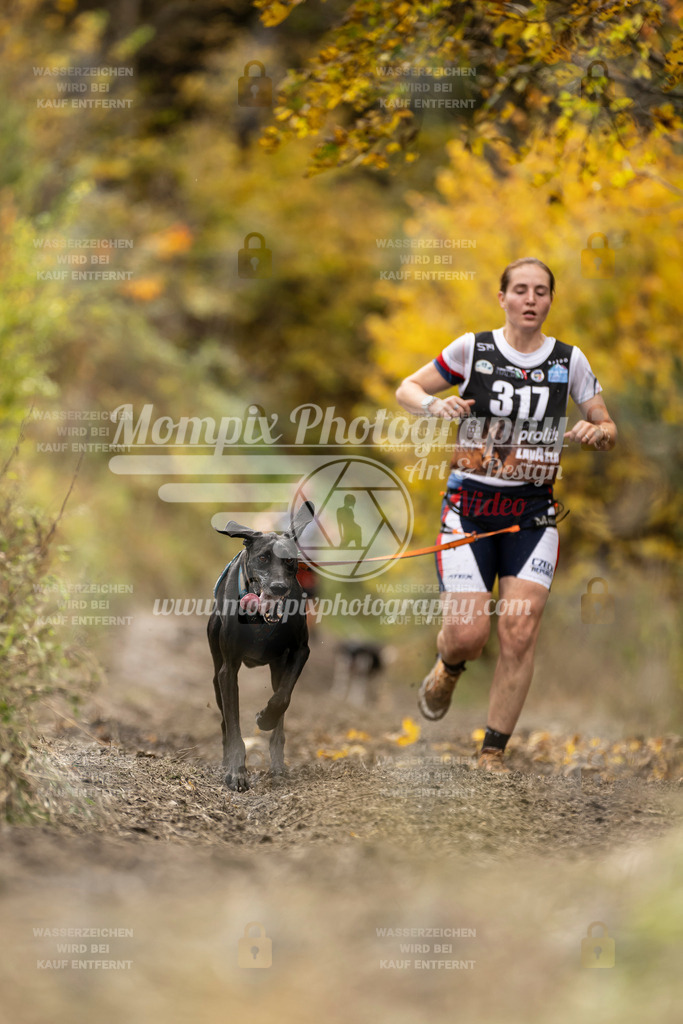 MompixPhotography_ICF_WC_2024_SA_Run_-185 | PayLife