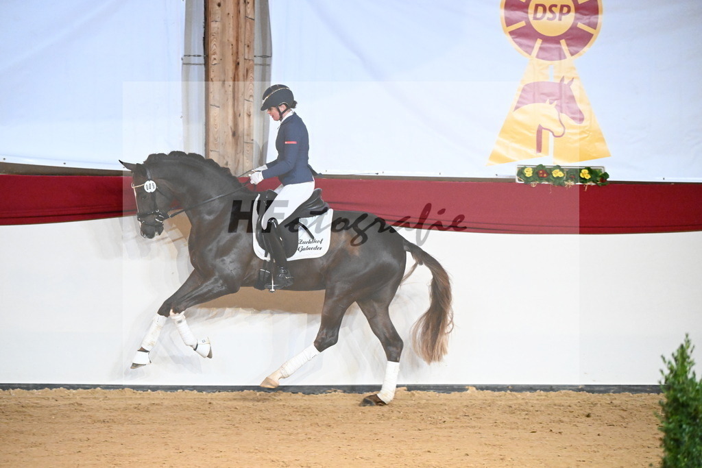 Bastiano_2241732 | hf-fotografie - Realisiert mit Pictrs.com