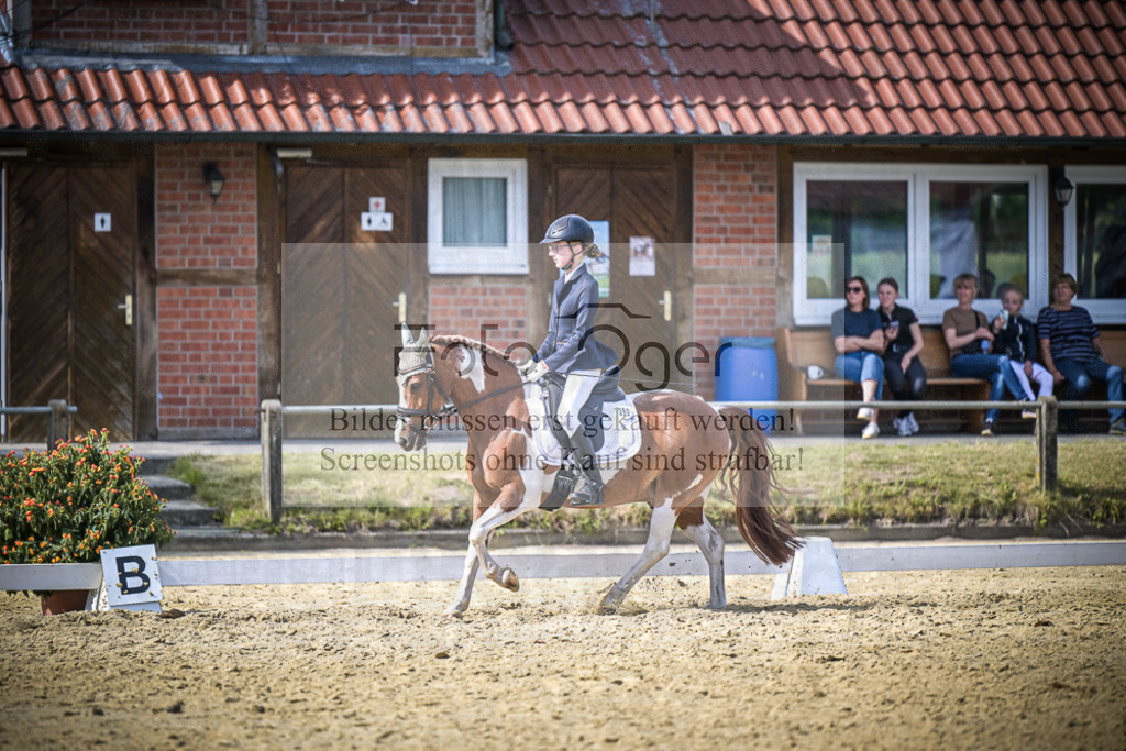 DOS_8956 | Entdecke hochwertige Reitturnierfotos von Foto Oger. Professionell, emotional und authentisch – jetzt Lieblingsmomente im Shop bestellen.Deutschlandweite Turnierfotografie. - Realisiert mit Pictrs.com