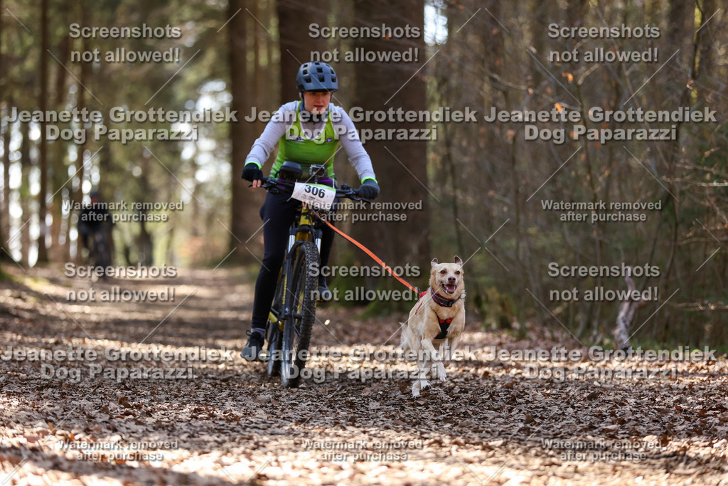 Dog Paparazzi - VCC26-1420 | Dog Paparazzi Jeanette Grottendiek Fotografie & Videografie - Realisiert mit Pictrs.com
