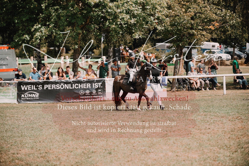 DSC_6146 | Pferde- und Turnierfotografie in Westsachsen. Pferdeportraits, Auftragszeichnungen und intuitive Kunst.