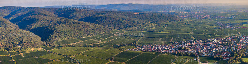Panorama vom Ortsbereich und der Umgebung | Luftbild: Panorama vom Ortsbereich und der Umgebung in Deidesheim im Bundesland Rheinland-Pfalz in Deutschland. Foto: IMG_44385-Bearbeitet.jpg vom 20.08.2011 durch Werner Riehm/FLY-FOTO.de - Realisiert mit Pictrs.com