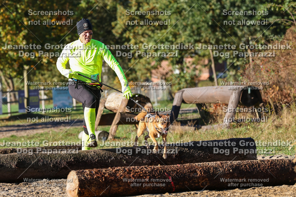 Dog Paparazzi - Strongdog 10-25-1260 | Dog Paparazzi Jeanette Grottendiek Fotografie & Videografie - Realisiert mit Pictrs.com