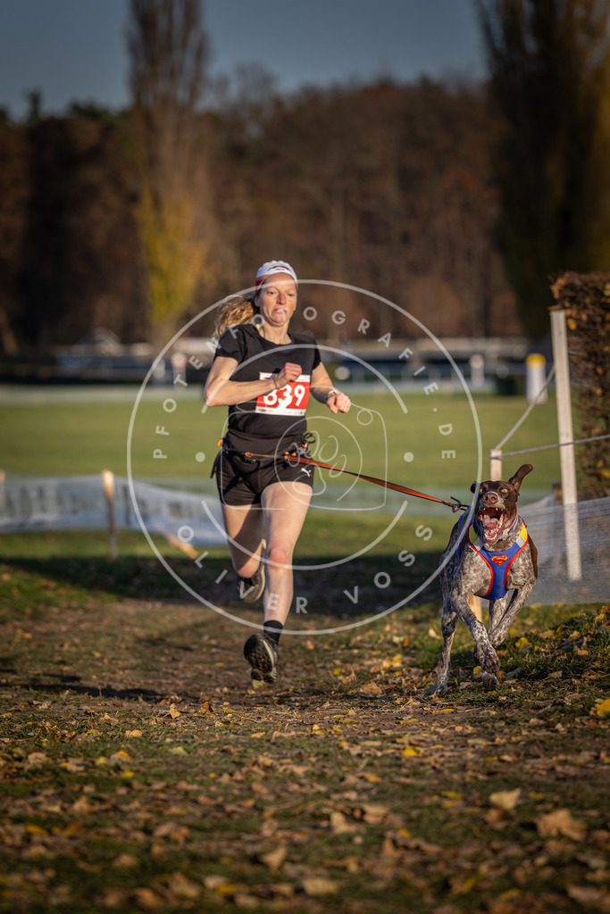 CaniXpix_DV3A3568 | Hundefotografie, Tierfotograf, Pfotenfotografie, Fotoshooting Hund, Hunde Portrait, Hundesport, Hundeportraits, Heideshooting, Hunde, Sportfotograf, Hundefotograf, Turnierhundsport, THS,  - Realisiert mit Pictrs.com