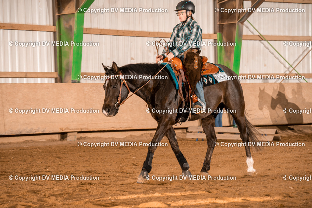 BAL03031 | dv-media-shop - Realisiert mit Pictrs.com