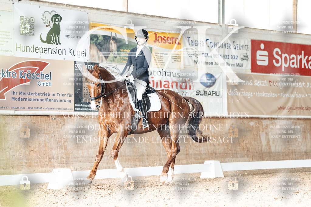 CK902449 | Turnierfotografie Pferdefotografie Trier Rheinland-Pfalz Pferdesport Reitsport Tierfotografie Sportfotografie Pferdevideo Pferdevideografie Equestrianvideography equestrianphotography  - Realisiert mit Pictrs.com