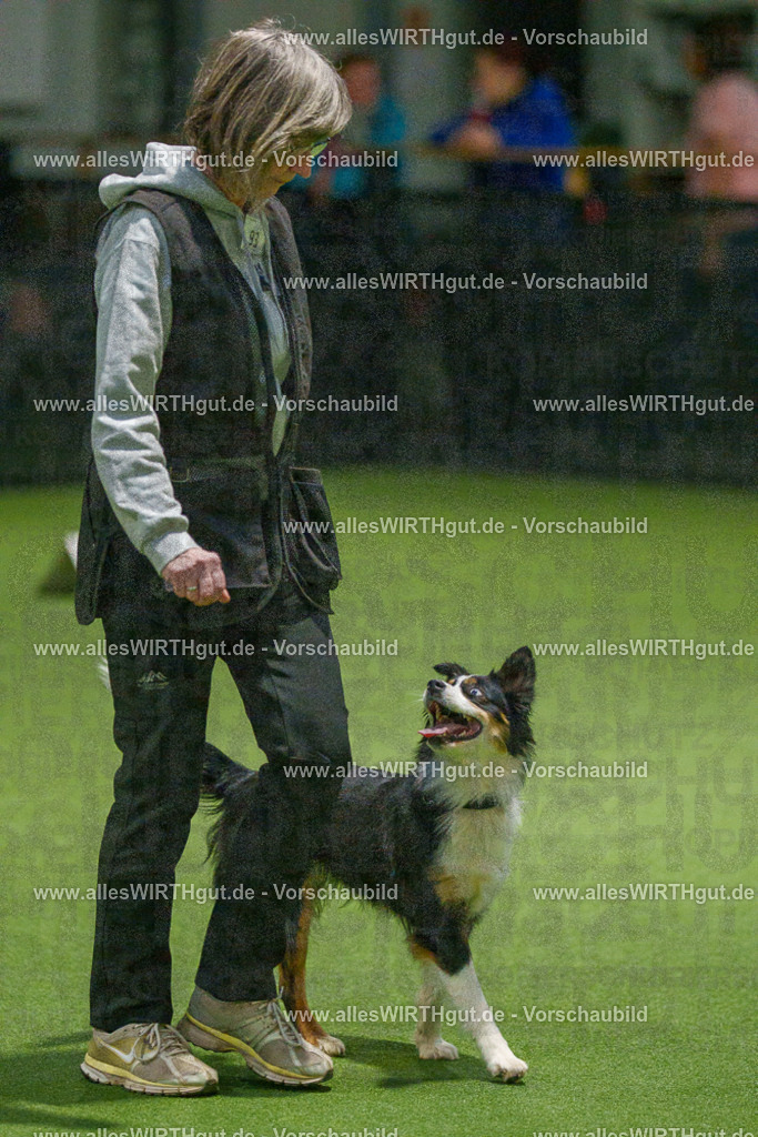 7R508979 | Professionelle Tierfotografie in Mönchengladbach von Daniel Wirth (allesWIRTHgut). Liebevolle & natürliche Bilder von Hunden & Katzen für unvergessliche Erinnerungen.