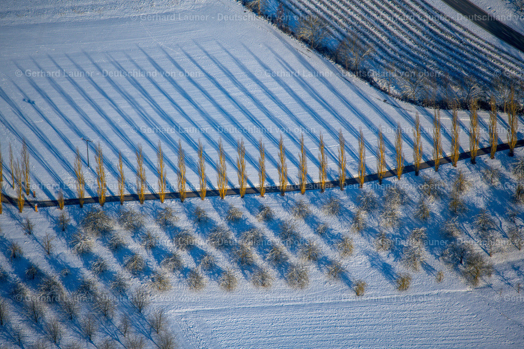 4043104 | winterliche Baumstrukturen beim Weingut Benz bei Beckstein
