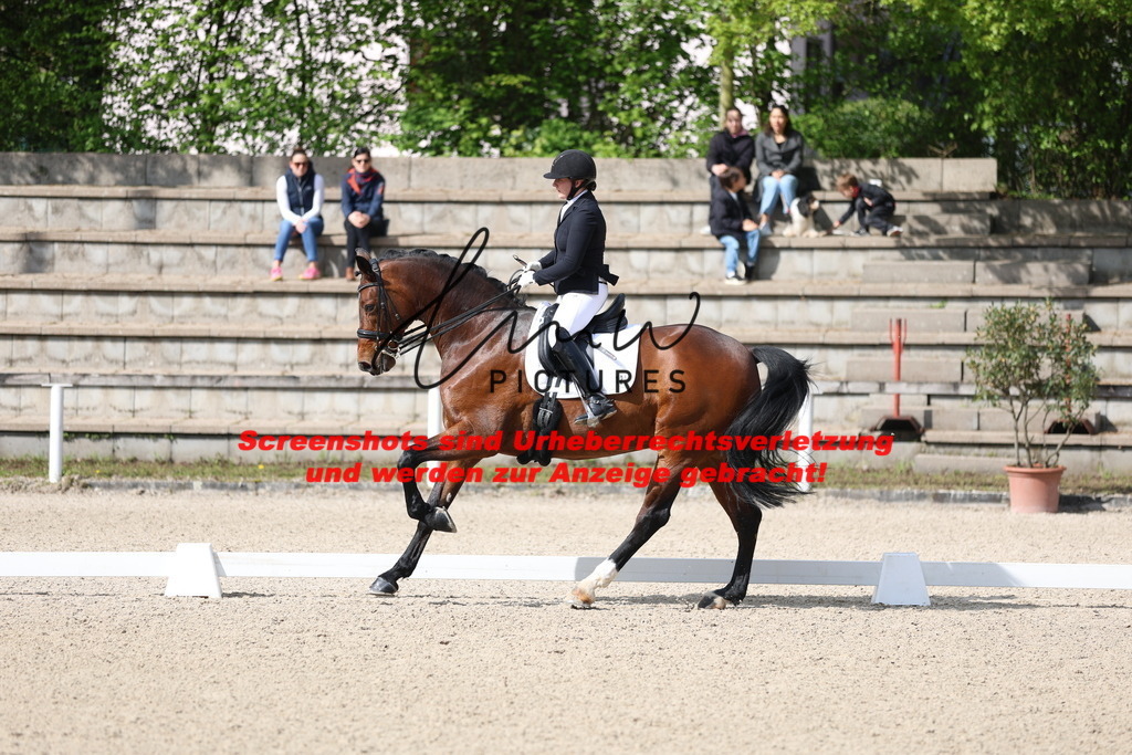 A40A3921 | lmwpictures - Realisiert mit Pictrs.com