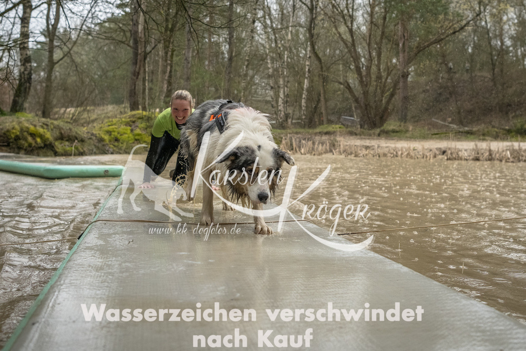 1046_ZZ93386-Bearbeitet | kk-dogfotos