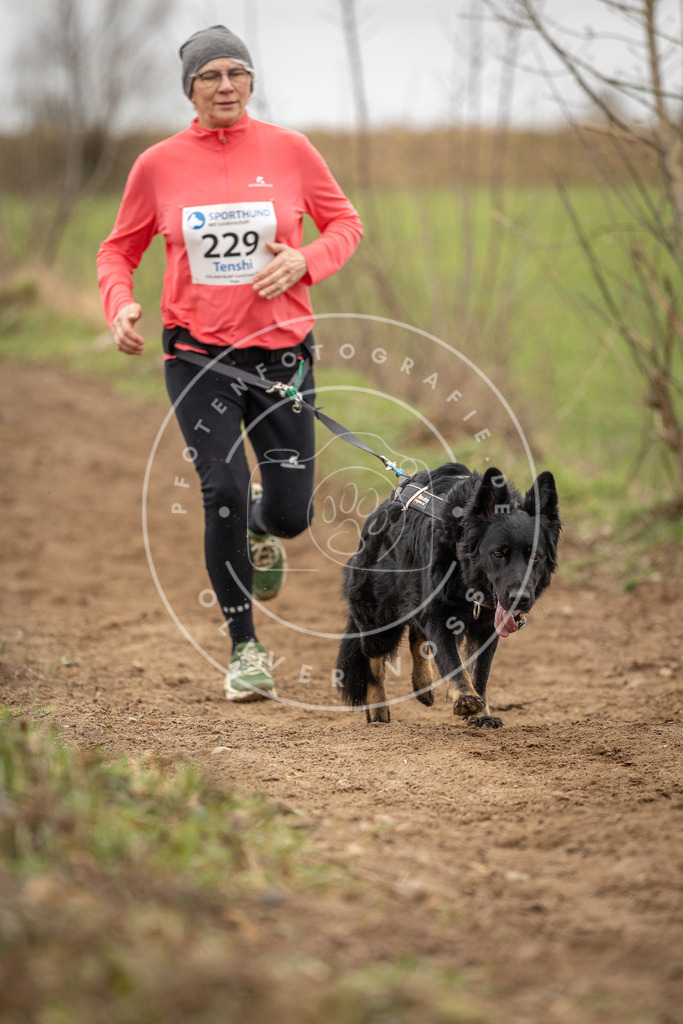 DV3A2753 | Hundefotografie, Tierfotograf, Pfotenfotografie, Fotoshooting Hund, Hunde Portrait, Hundesport, Hundeportraits, Heideshooting, Hunde, Sportfotograf, Hundefotograf, Turnierhundsport, THS,  - Realisiert mit Pictrs.com