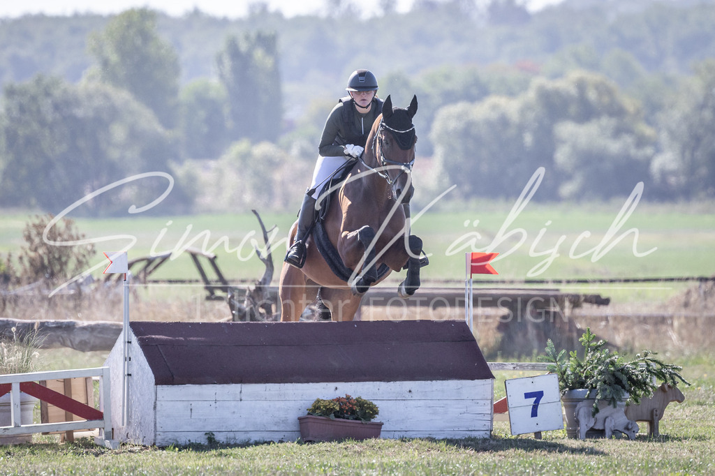 20260906-_3LI2400 | Tierfotografie Pferde, Hunde, Katzen, Haustiere.
Turnierfotografie Reitturniere, Reiten, Springreiten, Dressur in Hanau, dem Main-Kinzig-Kreis und dem Rhein-Main- Gebiet um Frankfurt