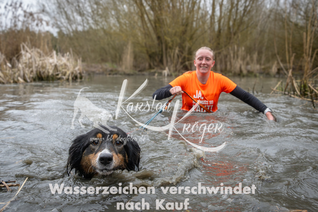 0950_ZZ92265 | kk-dogfotos