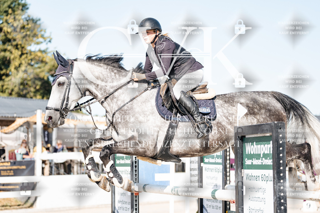 CK904650 | Turnierfotografie Pferdefotografie Trier Rheinland-Pfalz Pferdesport Reitsport Tierfotografie Sportfotografie Pferdevideo Pferdevideografie Equestrianvideography equestrianphotography  - Realisiert mit Pictrs.com