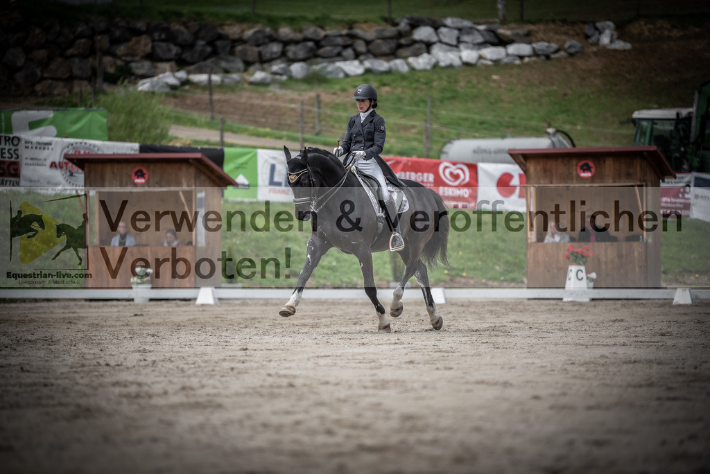 DSC_2734 | equestrian-live-com