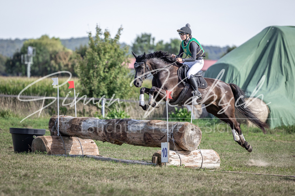 20250907-_3LI2488 | Tierfotografie Pferde, Hunde, Katzen, Haustiere.
Turnierfotografie Reitturniere, Reiten, Springreiten, Dressur in Hanau, dem Main-Kinzig-Kreis und dem Rhein-Main- Gebiet um Frankfurt